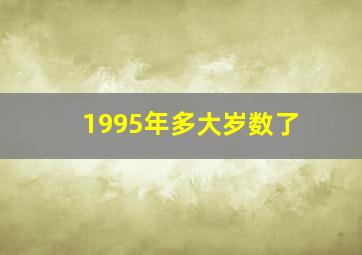 1995年多大岁数了