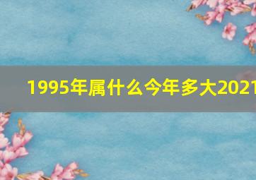 1995年属什么今年多大2021