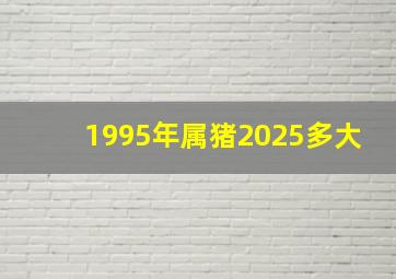 1995年属猪2025多大