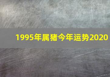 1995年属猪今年运势2020