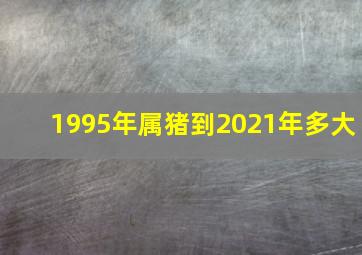 1995年属猪到2021年多大