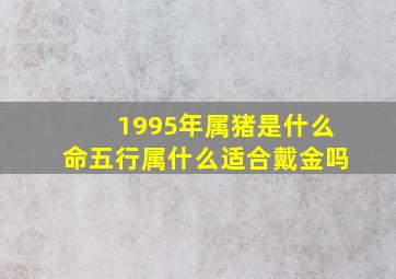 1995年属猪是什么命五行属什么适合戴金吗