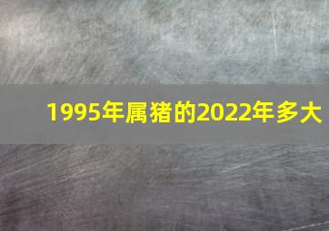 1995年属猪的2022年多大