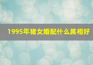 1995年猪女婚配什么属相好