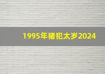 1995年猪犯太岁2024