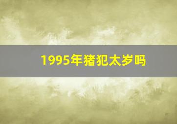 1995年猪犯太岁吗