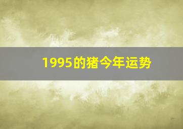 1995的猪今年运势