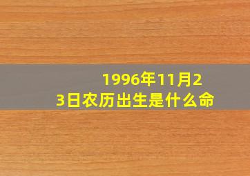 1996年11月23日农历出生是什么命