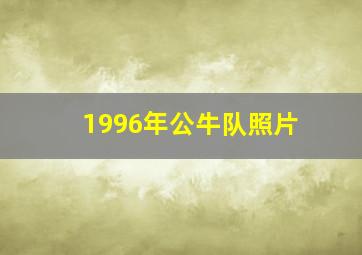 1996年公牛队照片