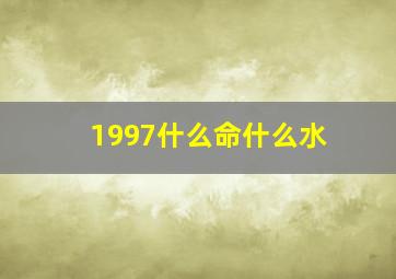 1997什么命什么水