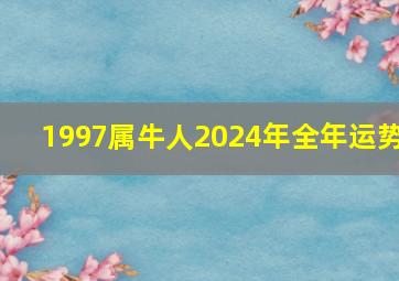 1997属牛人2024年全年运势