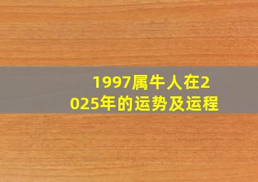 1997属牛人在2025年的运势及运程