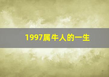 1997属牛人的一生