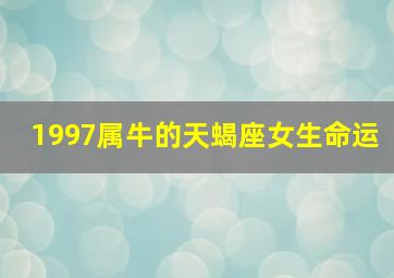 1997属牛的天蝎座女生命运