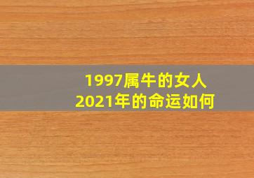 1997属牛的女人2021年的命运如何