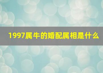 1997属牛的婚配属相是什么