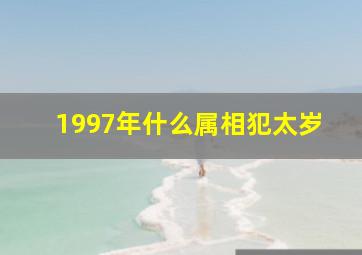 1997年什么属相犯太岁