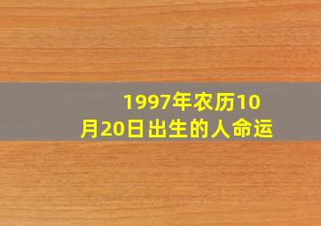 1997年农历10月20日出生的人命运