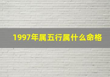 1997年属五行属什么命格