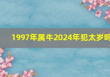 1997年属牛2024年犯太岁吗