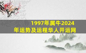 1997年属牛2024年运势及运程华人开运网