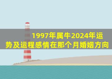 1997年属牛2024年运势及运程感情在那个月婚姻方向