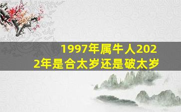 1997年属牛人2022年是合太岁还是破太岁