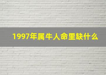 1997年属牛人命里缺什么