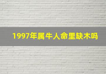 1997年属牛人命里缺木吗