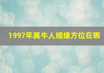 1997年属牛人姻缘方位在哪