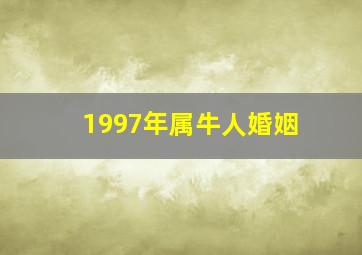 1997年属牛人婚姻