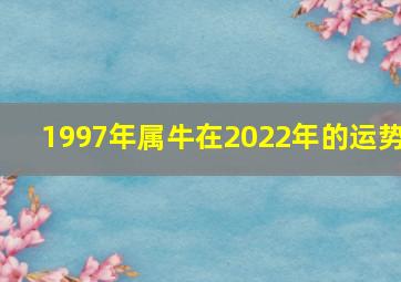 1997年属牛在2022年的运势