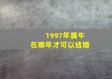 1997年属牛在哪年才可以结婚