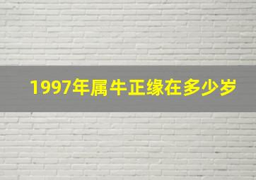 1997年属牛正缘在多少岁