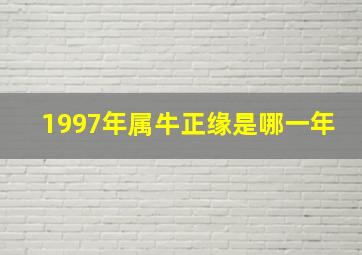 1997年属牛正缘是哪一年