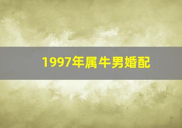 1997年属牛男婚配