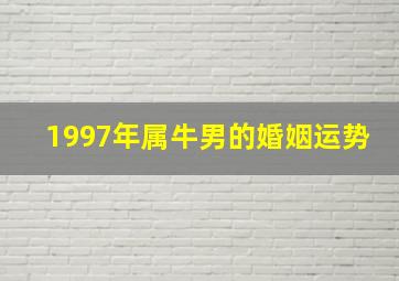 1997年属牛男的婚姻运势