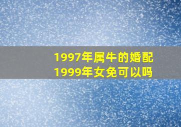 1997年属牛的婚配1999年女免可以吗