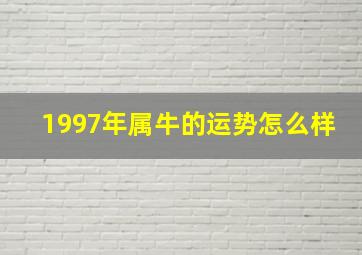 1997年属牛的运势怎么样