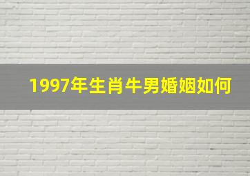 1997年生肖牛男婚姻如何