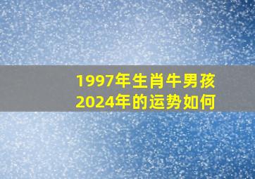 1997年生肖牛男孩2024年的运势如何