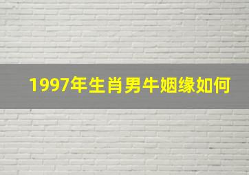 1997年生肖男牛姻缘如何