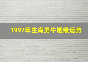 1997年生肖男牛姻缘运势