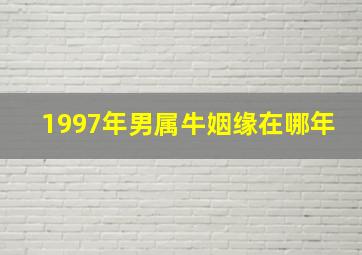 1997年男属牛姻缘在哪年