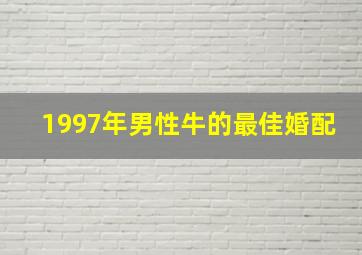 1997年男性牛的最佳婚配