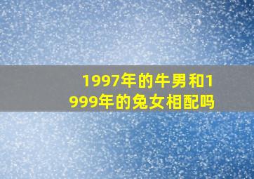 1997年的牛男和1999年的兔女相配吗