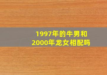 1997年的牛男和2000年龙女相配吗