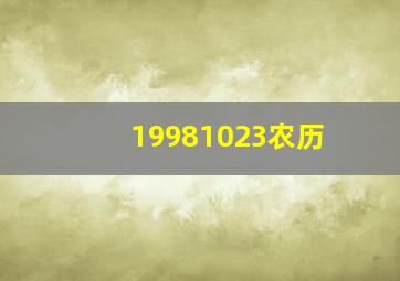 19981023农历