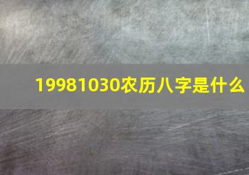 19981030农历八字是什么