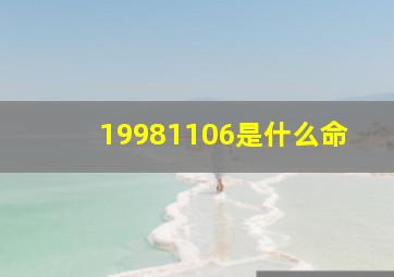 19981106是什么命